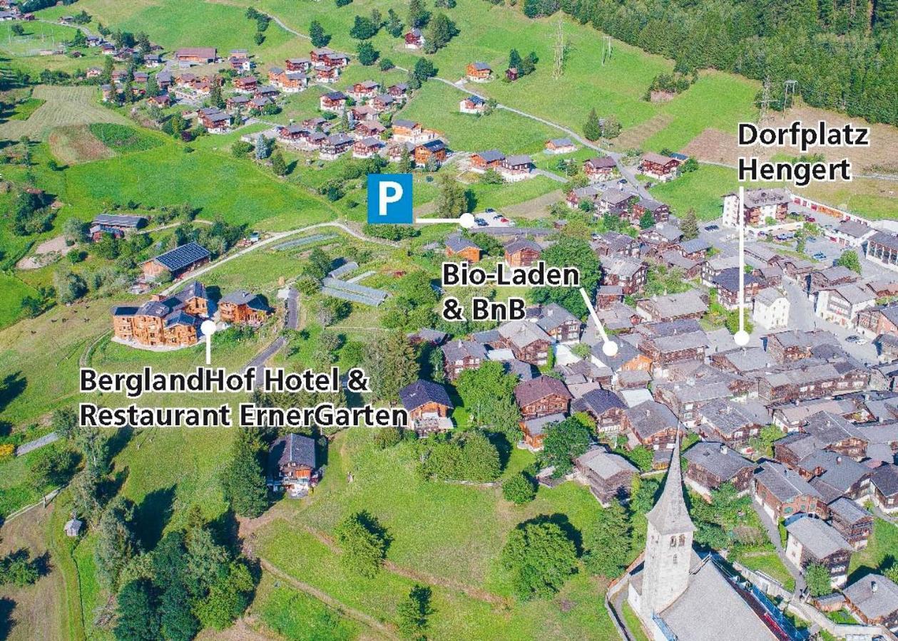 Berglandhof Hotel Ernen Bagian luar foto